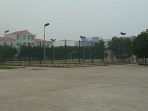 焦作高新技術創業服務中心 構建全方位技術服務平臺，賦能企業創新成長